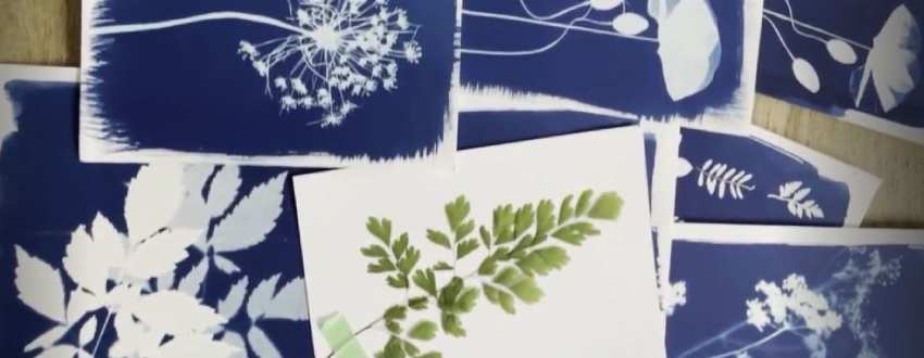 banniere cyanotype