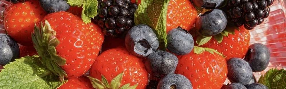 fruits rouges jardin