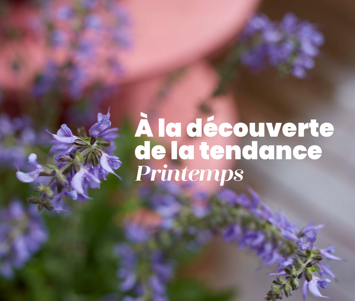 E-catalogue printemps
