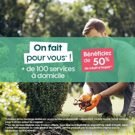 Plus de 100 services à domicile 