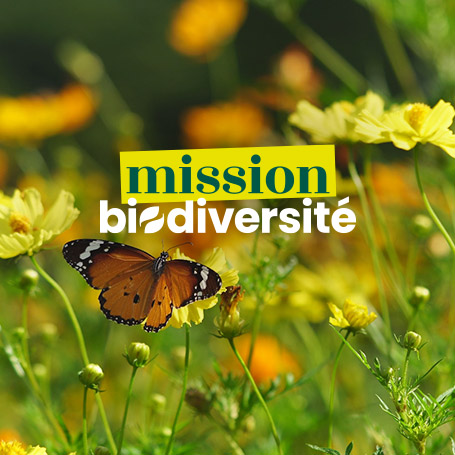Mission biodiversité 