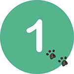 Etape 1