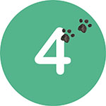 Etape 4