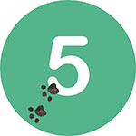 Etape 5