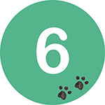 Etape 6