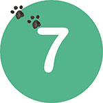 Etape 7