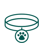 Médailles chien & chat